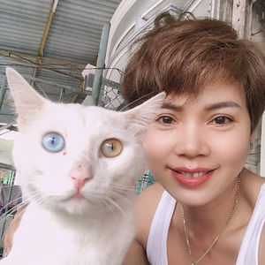 Meet your Posher, Rose